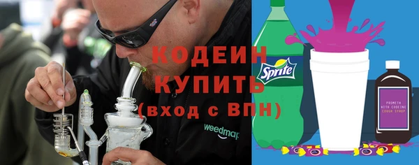 ПСИЛОЦИБИНОВЫЕ ГРИБЫ Арсеньев
