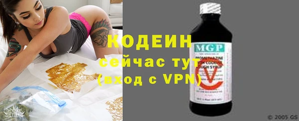 ПСИЛОЦИБИНОВЫЕ ГРИБЫ Арсеньев